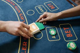 333bet6