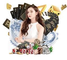 333bet6
