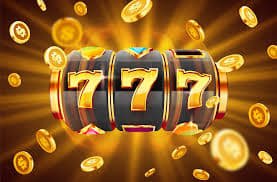 333bet6