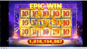 333bet6